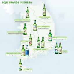 Phân biệt các loại rượu Soju ở Hàn Quốc 